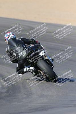 media/Nov-12-2023-SoCal Trackdays (Sun) [[5d1fba4e7d]]/Turn 10 Backside (115pm)/